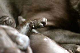 2014-07-17 19.43.38.jpg